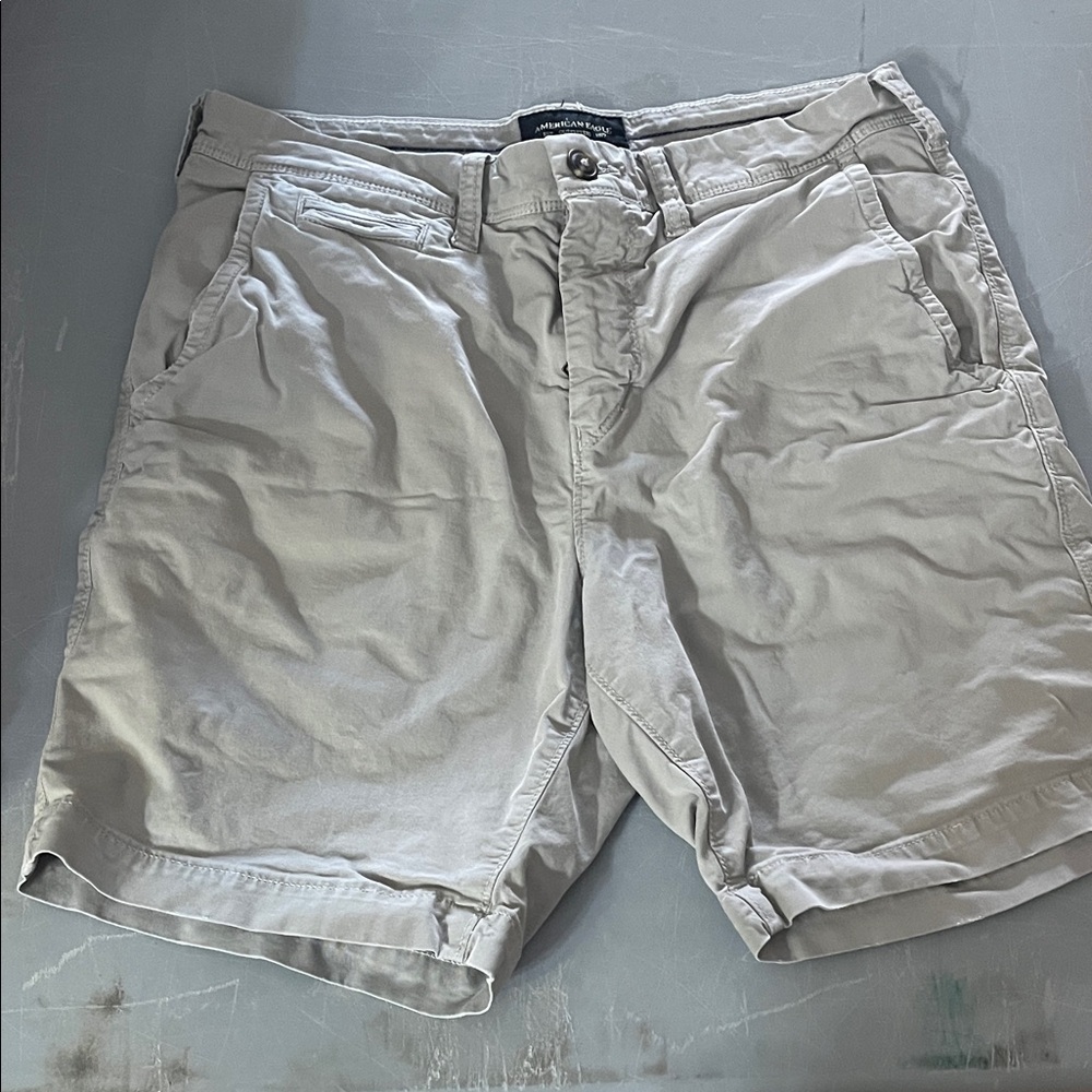 American Eagle Outfitters Light Tan Flat Front Shorts